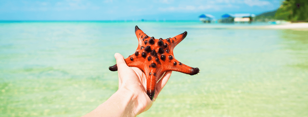 富國島~海星沙灘