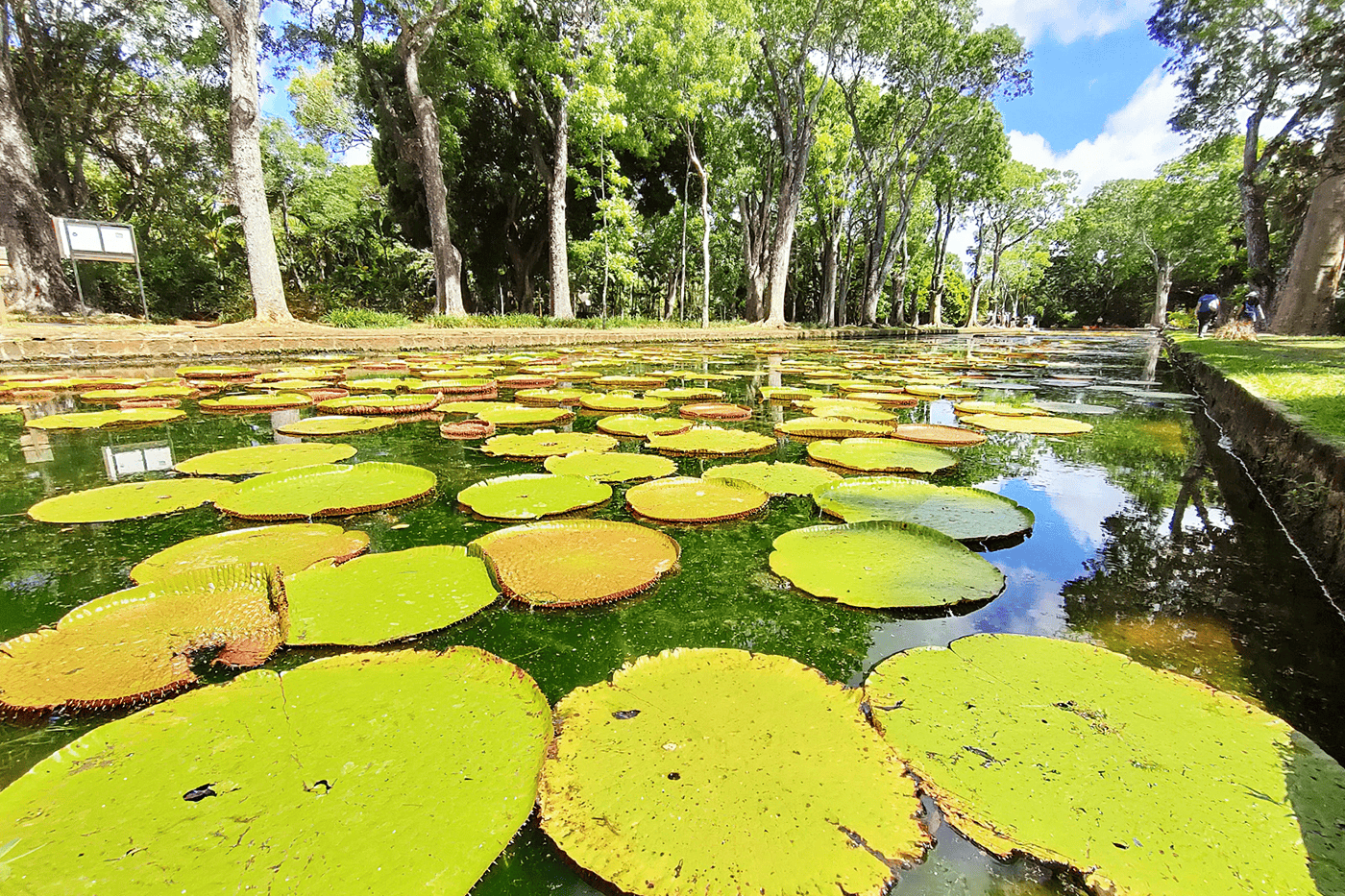 SSR Botanical Garden
