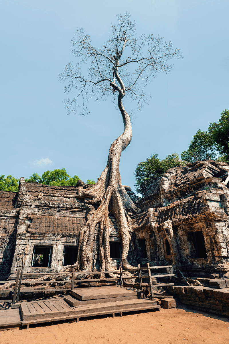 Ta Prohm