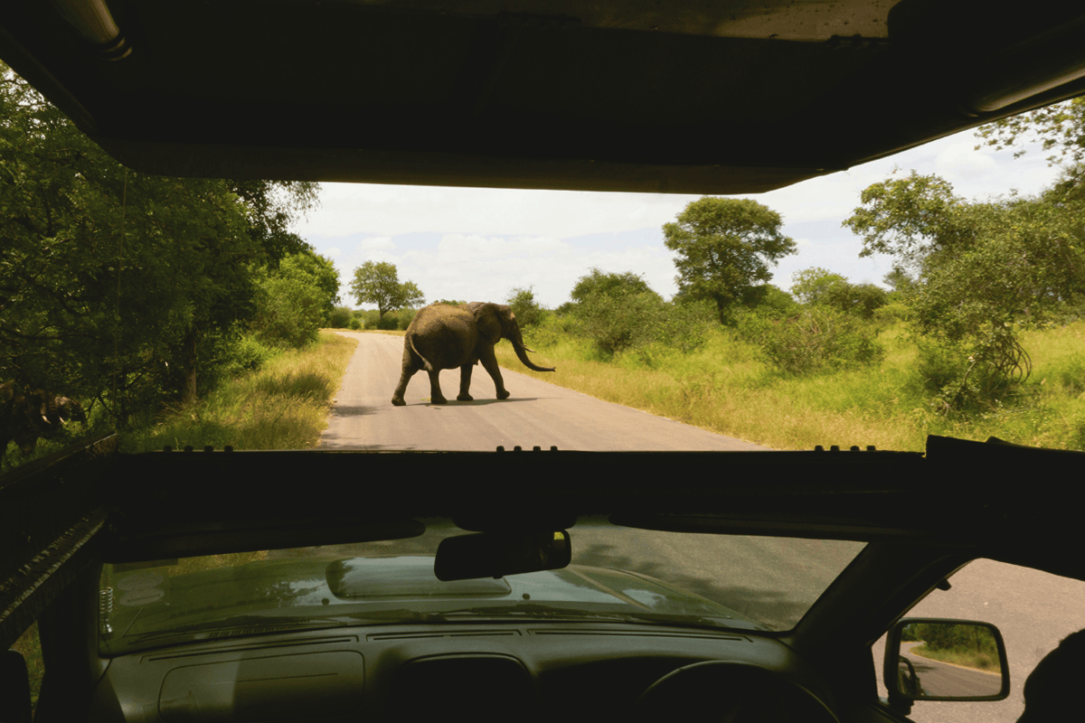 克魯格國家公園 Kruger National Park