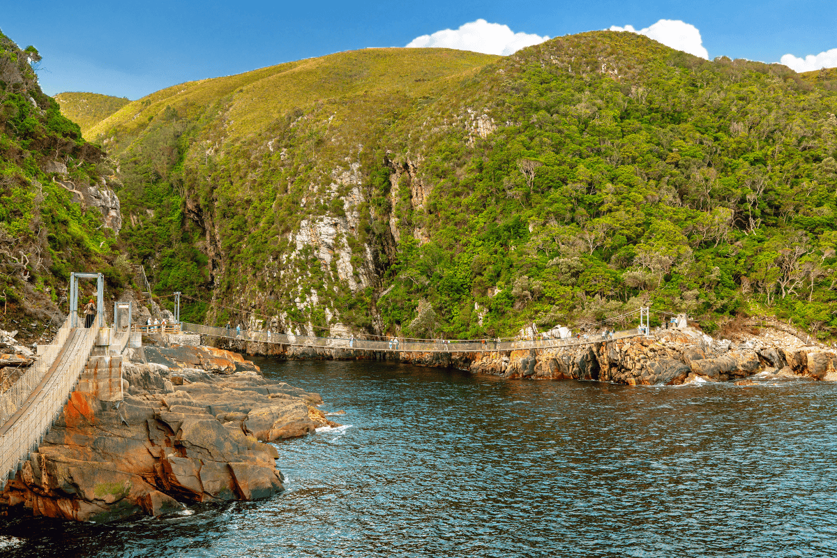 風暴河吊橋 Storms River Suspension Bridge